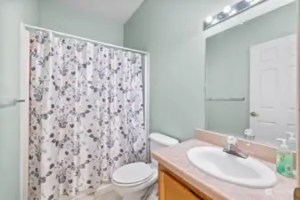 Guest bathroom