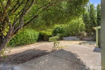 Spacious back yard - there is a utility shed in the back right corner