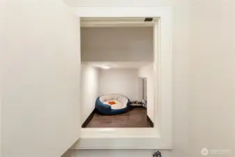 Access to pet room or storage from inside main floor coat closet. The other access is through small door below staircase.