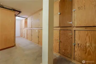Downstairs Storage