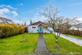 Fruit trees in front yard