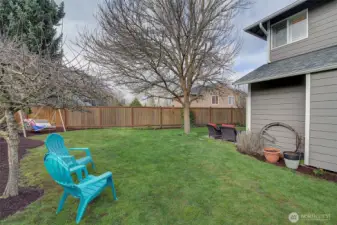 The side yard...plenty of room here for backyard enjoyment.