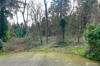 Rare 1.07-acre level and fully usable parcel in highly desirable Bothell, surrounded by prestigious multi-million-dollar homes. Zoned R4000 Residential, offering outstanding potential for a luxury custom residence.