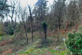 Stellar location—less than 10 minutes to I-405, SR-522, downtown Bothell, and Woodinville’s renowned wineries, dining, and entertainment. Enjoy privacy with unbeatable convenience.