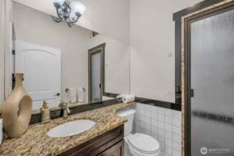 Steam Shower – Downstairs