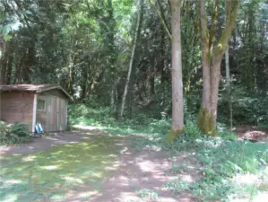 Garage and forest in background