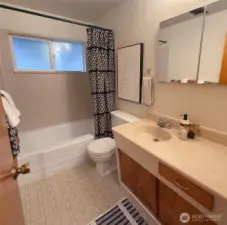 Full bathroom with custom vanity.