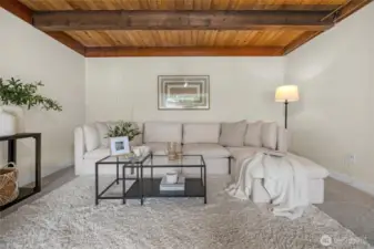 Lower level living room