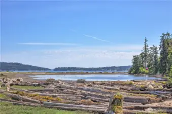 The lagoon at Kala Point is a special place. You'll see many species of birds, including eagles, osprey, and Kingfishers, plus other wildlife. In the distance is the bridge to Marrowstone Island from the mainland.