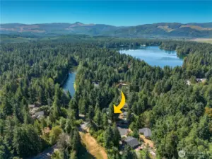 Nestled in the trees, you aren't far from the best of the PNW: hiking, biking, scenic drives, and more! The best part is you barely have to leave your own backyard for a slice of nature. Enjoy 14 miles of privately maintained trails, community parks, a pool, and sport courts!
