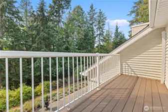 Primary bedroom balcony