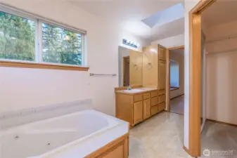 The upstairs primary bedroom's bathroom suite, with a jetted tub, skylighting, and expansive natural lighting, and a walk-in closet