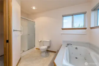 Another view of the upstairs primary bedroom bath suite, showing the jetted tub and walk-in shower