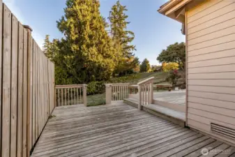 Another view of the dual level back decking