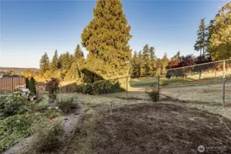 Another back yard view