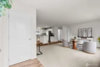 Entrance into the living room with entry way closet