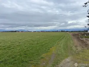 Rich farmland with great views of the Cascade Mountains and the Canadian Mountains to the North.