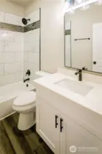 MAIN BATH IN HALLWAY...PLENTY OF STORAGE UNDER THIS NICE SIZED VANITY