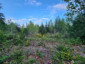 land is mostly level throughout