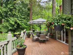 70-Foot Deck Feels like a tree house