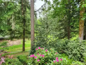 View of 6 acre park