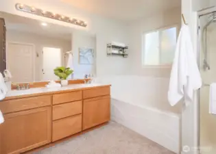 Well appointed primary bathroom with a walk in closet.