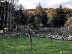 Property includes a beautiful and prolific orchard. Harvest basket after basket of delicious fruit annually.