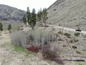 Property extends into aspen grove