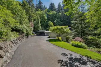 Long secluded driveway