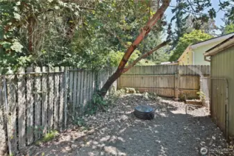 A view of the back yard!