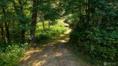 The driveway up to the Yurt