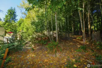 Additional back of property that has preliminary lot subdivision approval