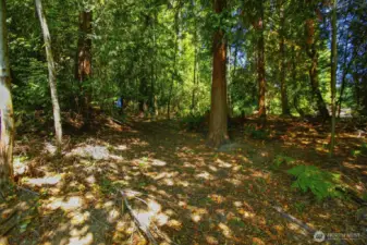 Additional back of property that has preliminary lot subdivision approval