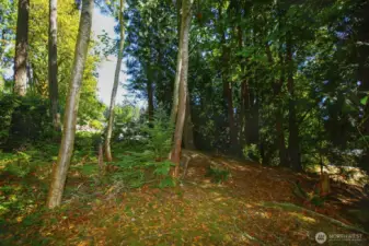 Additional back of property that has preliminary lot subdivision approval