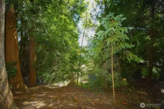 Additional back of property that has preliminary lot subdivision approval