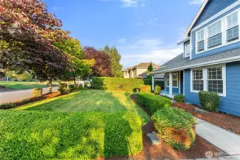 Front yard with well-maintained hedging