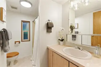 Main Full Bathroom