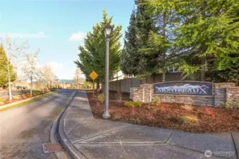 Welcome to the Montreaux 55+ community and lifestyle living.