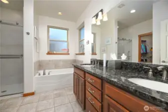 Full primary bath double sink vanity, soaking tub and newer walk-in shower.