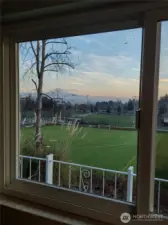 View from the living room