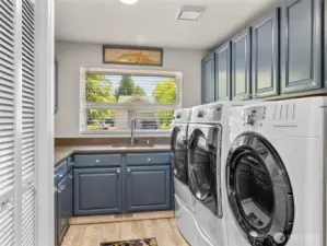 Laundry On The Main Floor