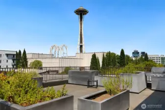 rooftop deck