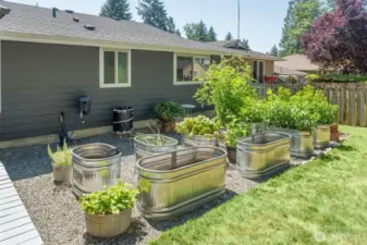 Raised garden beds!