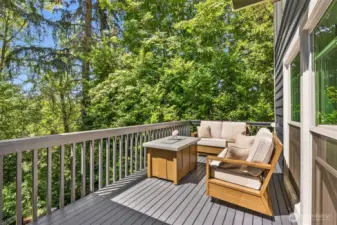 The home has a beautifully terraced backyard that can be enjoyed from the large deck.  When on the deck you enjoy views of the backyard and fountain. There is room for outdoor dining as well.