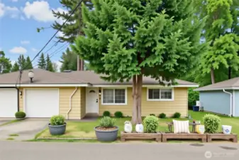 AI Virtually Staged  Front Yard