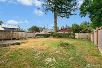 Backyard
