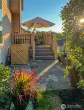 Summer Morning on the Deck
