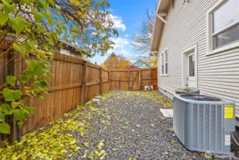 Side yard + dog run.