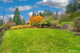 All the space you want and need.