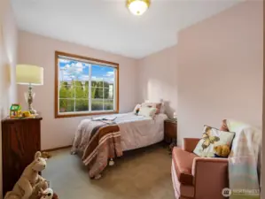 This bedroom is located on the main floor and can be used as an office or a bedroom.